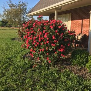 Meet your Posher, Yvette